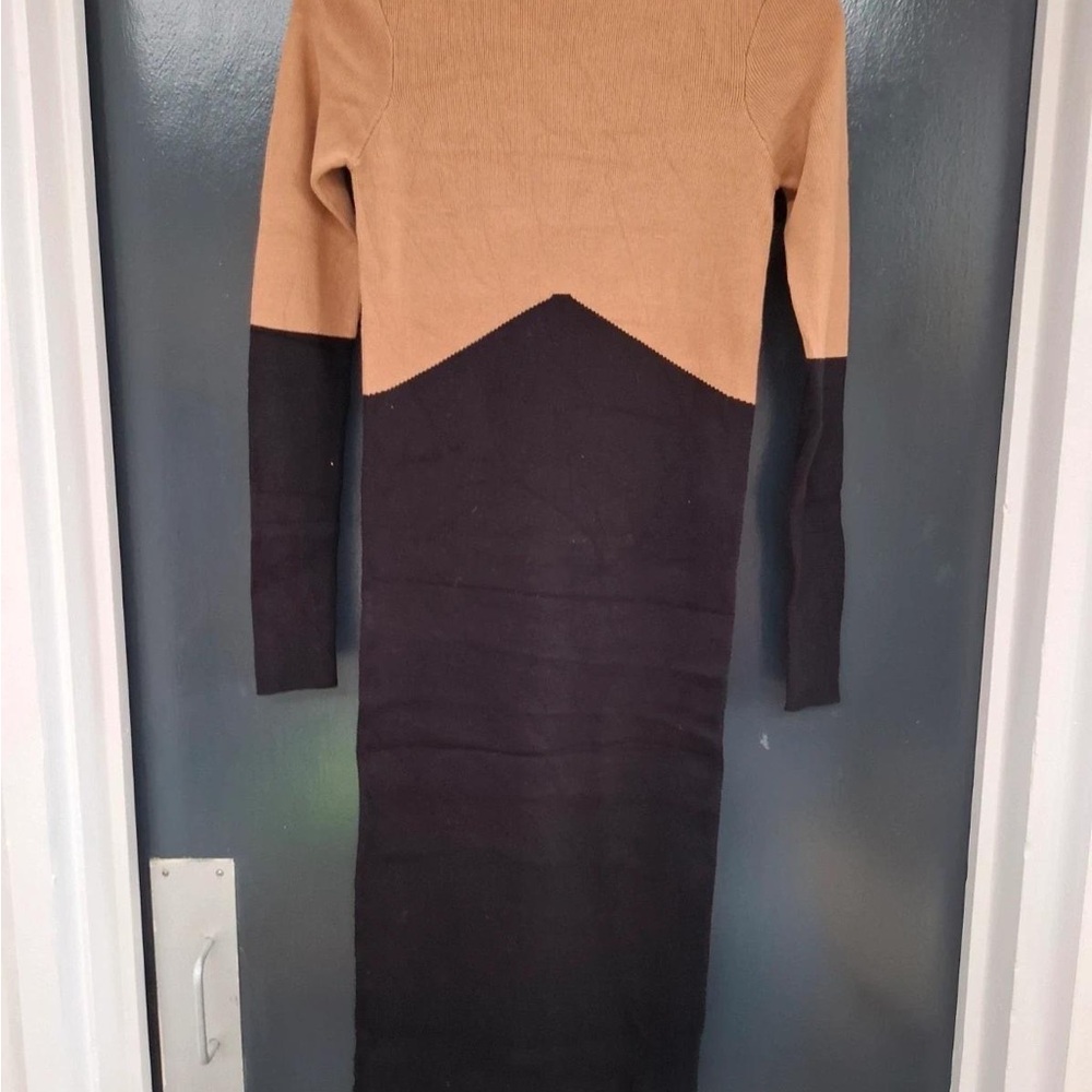 Zara Tan and Black Long Sleeve Dress